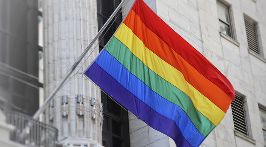 Bedeutung Regenbogenfahne LGBTQ+ Flagge